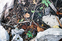 Filename=abr.jpg
Filesize=116KiB
Dimensions=432x292
Date added=Oct 17, 2019 abr.jpg
