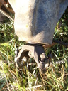 Filename=aaj.jpg
Filesize=1390KiB
Dimensions=1536x2048
Date added=Oct 17, 2019 aaj.jpg