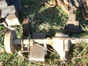 Filename=aal.jpg
Filesize=1475KiB
Dimensions=2048x1536
Date added=Oct 17, 2019 aal.jpg