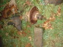 Filename=abw.jpg
Filesize=1605KiB
Dimensions=2048x1536
Date added=Oct 17, 2019 abw.jpg