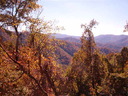 Filename=aaa.jpg
Filesize=64KiB
Dimensions=640x480
Date added=Oct 17, 2019 aaa.jpg