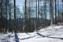 Filename=aay.jpg
Filesize=2913KiB
Dimensions=2048x1361
Date added=Oct 17, 2019 aay.jpg