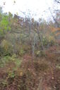 Filename=aat-200x300.jpg
Filesize=44KiB
Dimensions=200x300
Date added=Oct 17, 2019 aat-200x300.jpg