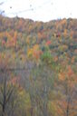 Filename=aav-200x300.jpg
Filesize=41KiB
Dimensions=200x300
Date added=Oct 17, 2019 aav-200x300.jpg