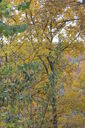Filename=aaw.jpg
Filesize=125KiB
Dimensions=400x600
Date added=Oct 17, 2019 aaw.jpg