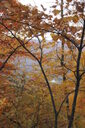 Filename=abg-200x300.jpg
Filesize=55KiB
Dimensions=200x300
Date added=Oct 17, 2019 abg-200x300.jpg
