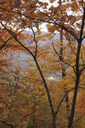 Filename=abh-200x300.jpg
Filesize=55KiB
Dimensions=200x300
Date added=Oct 17, 2019 abh-200x300.jpg