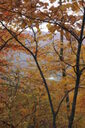 Filename=abi-200x300.jpg
Filesize=55KiB
Dimensions=200x300
Date added=Oct 17, 2019 abi-200x300.jpg
