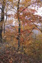 Filename=abj-200x300.jpg
Filesize=55KiB
Dimensions=200x300
Date added=Oct 17, 2019 abj-200x300.jpg
