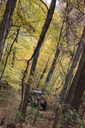 Filename=acc-200x300.jpg
Filesize=55KiB
Dimensions=200x300
Date added=Oct 17, 2019 acc-200x300.jpg