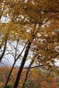 Filename=acl-200x300.jpg
Filesize=57KiB
Dimensions=200x300
Date added=Oct 17, 2019 acl-200x300.jpg