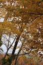 Filename=acm-200x300.jpg
Filesize=58KiB
Dimensions=200x300
Date added=Oct 17, 2019 acm-200x300.jpg