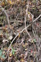 Filename=acz-200x300.jpg
Filesize=58KiB
Dimensions=200x300
Date added=Oct 17, 2019 acz-200x300.jpg