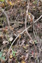 Filename=ada-200x300.jpg
Filesize=58KiB
Dimensions=200x300
Date added=Oct 17, 2019 ada-200x300.jpg
