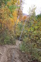 Filename=adh-200x300.jpg
Filesize=51KiB
Dimensions=200x300
Date added=Oct 17, 2019 adh-200x300.jpg