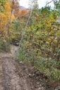 Filename=adi-200x300.jpg
Filesize=51KiB
Dimensions=200x300
Date added=Oct 17, 2019 adi-200x300.jpg