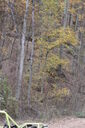 Filename=aer-200x300.jpg
Filesize=50KiB
Dimensions=200x300
Date added=Oct 17, 2019 aer-200x300.jpg