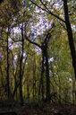 Filename=ajp-200x300.jpg
Filesize=55KiB
Dimensions=200x300
Date added=Oct 17, 2019 ajp-200x300.jpg
