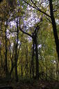 Filename=ajp.jpg
Filesize=132KiB
Dimensions=400x600
Date added=Oct 17, 2019 ajp.jpg