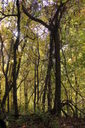 Filename=ajs-200x300.jpg
Filesize=57KiB
Dimensions=200x300
Date added=Oct 17, 2019 ajs-200x300.jpg
