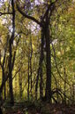 Filename=ajt-200x300.jpg
Filesize=57KiB
Dimensions=200x300
Date added=Oct 17, 2019 ajt-200x300.jpg