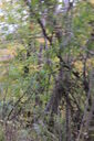Filename=aku-200x300.jpg
Filesize=50KiB
Dimensions=200x300
Date added=Oct 17, 2019 aku-200x300.jpg