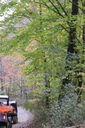 akw-200x300.jpg