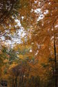 Filename=ami-200x300.jpg
Filesize=54KiB
Dimensions=200x300
Date added=Oct 17, 2019 ami-200x300.jpg