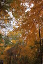 Filename=amj-200x300.jpg
Filesize=55KiB
Dimensions=200x300
Date added=Oct 17, 2019 amj-200x300.jpg