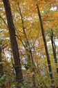 Filename=aml-200x300.jpg
Filesize=56KiB
Dimensions=200x300
Date added=Oct 17, 2019 aml-200x300.jpg