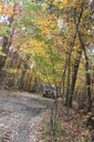 Filename=amm-200x300.jpg
Filesize=54KiB
Dimensions=200x300
Date added=Oct 17, 2019 amm-200x300.jpg