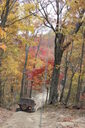 Filename=amu-200x300.jpg
Filesize=54KiB
Dimensions=200x300
Date added=Oct 17, 2019 amu-200x300.jpg