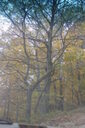 Filename=amw-200x300.jpg
Filesize=49KiB
Dimensions=200x300
Date added=Oct 17, 2019 amw-200x300.jpg