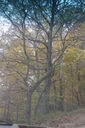 Filename=amx-200x300.jpg
Filesize=48KiB
Dimensions=200x300
Date added=Oct 17, 2019 amx-200x300.jpg