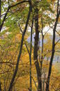 Filename=amz-200x300.jpg
Filesize=58KiB
Dimensions=200x300
Date added=Oct 17, 2019 amz-200x300.jpg