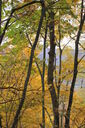 Filename=amz.jpg
Filesize=137KiB
Dimensions=400x600
Date added=Oct 17, 2019 amz.jpg