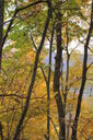 Filename=ana-200x300.jpg
Filesize=57KiB
Dimensions=200x300
Date added=Oct 17, 2019 ana-200x300.jpg