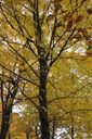 Filename=anb-200x300.jpg
Filesize=59KiB
Dimensions=200x300
Date added=Oct 17, 2019 anb-200x300.jpg