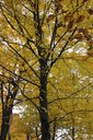 Filename=anb.jpg
Filesize=136KiB
Dimensions=400x600
Date added=Oct 17, 2019 anb.jpg