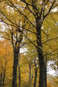 Filename=anc-200x300.jpg
Filesize=57KiB
Dimensions=200x300
Date added=Oct 17, 2019 anc-200x300.jpg