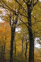 Filename=and-200x300.jpg
Filesize=55KiB
Dimensions=200x300
Date added=Oct 17, 2019 and-200x300.jpg