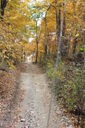 Filename=ane-200x300.jpg
Filesize=53KiB
Dimensions=200x300
Date added=Oct 17, 2019 ane-200x300.jpg