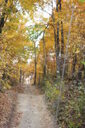Filename=anf-200x300.jpg
Filesize=53KiB
Dimensions=200x300
Date added=Oct 17, 2019 anf-200x300.jpg