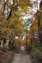 Filename=anh-200x300.jpg
Filesize=54KiB
Dimensions=200x300
Date added=Oct 17, 2019 anh-200x300.jpg