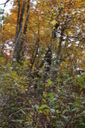 Filename=anj-200x300.jpg
Filesize=52KiB
Dimensions=200x300
Date added=Oct 17, 2019 anj-200x300.jpg