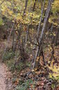Filename=anl-200x300.jpg
Filesize=56KiB
Dimensions=200x300
Date added=Oct 17, 2019 anl-200x300.jpg