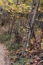 Filename=anm-200x300.jpg
Filesize=56KiB
Dimensions=200x300
Date added=Oct 17, 2019 anm-200x300.jpg