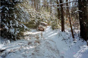Filename=aaw.jpg
Filesize=38KiB
Dimensions=640x426
Date added=Oct 17, 2019 aaw.jpg