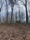 Filename=IMG_4357.jpg
Filesize=94KiB
Dimensions=360x480
Date added=Dec 13, 2020 IMG_4357.jpg