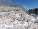 Filename=20220122_112416.jpg
Filesize=406KiB
Dimensions=1024x768
Date added=Jan 30, 2022 20220122_112416.jpg